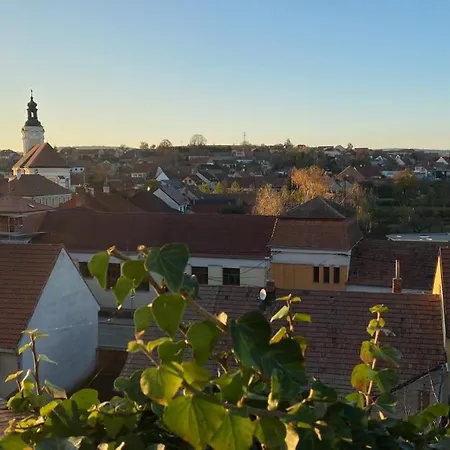 Chateau Zamek فندق سيكوفيتش