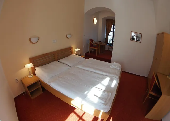 Chateau Zamek Hotel Cejkovice (Hodonin)