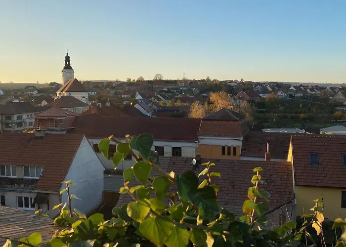 Chateau Zamek Hotel Cejkovice (Hodonin)